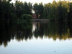Dobrynek